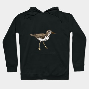 Spotted Sandpiper Hoodie